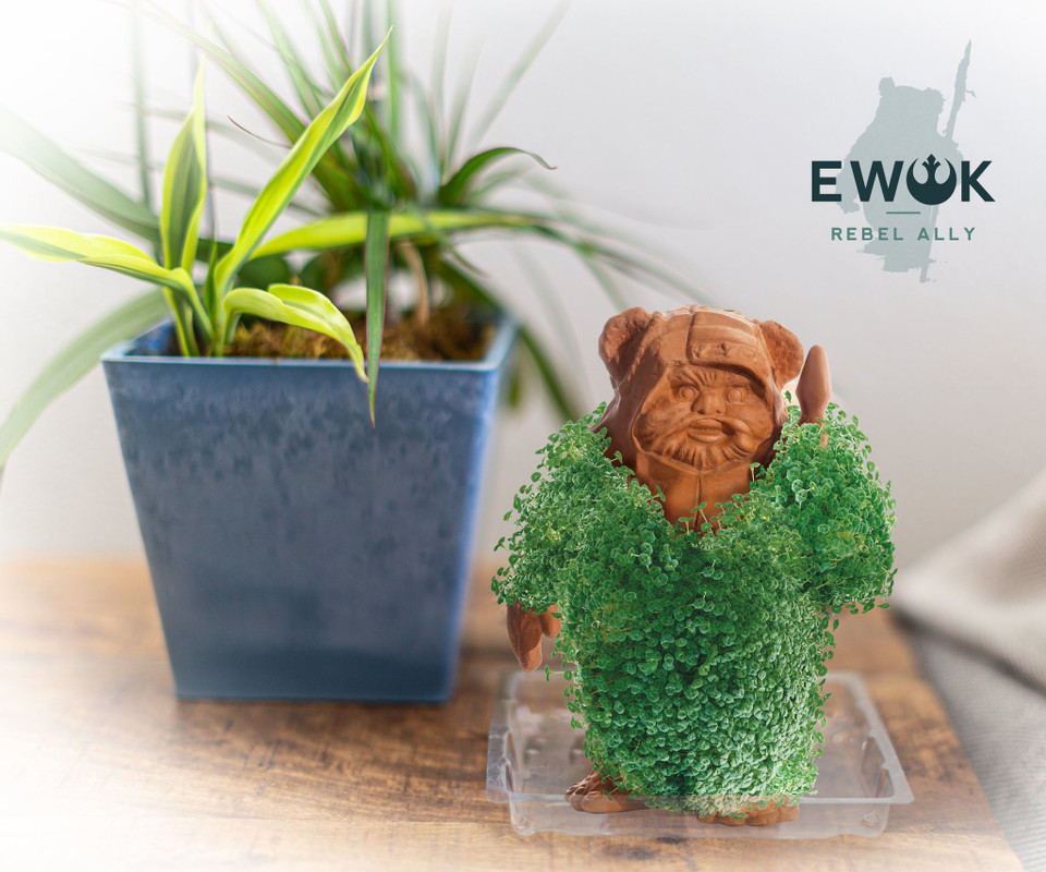 NECA Star Wars Ewok Chia Pet