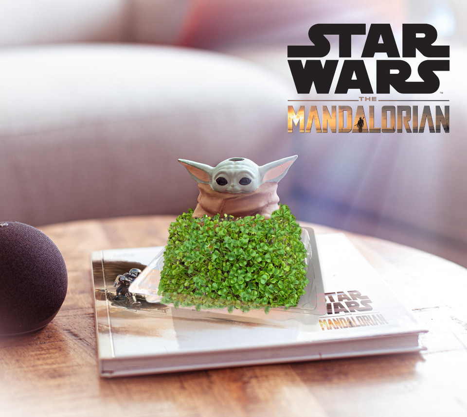 NECA Star Wars The Child in Mando's Satchel Chia Pet NECA Star Wars The Child in Mando's Satchel Chia Pet