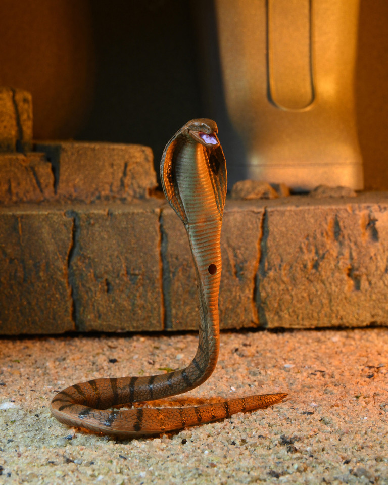 NECA Universal Monsters x Teenage Mutant Ninja Turtles Ultimate Michelangelo as The Mummy 7-Inch Scale Action Figure NECA Universal Monsters x Teenage Mutant Ninja Turtles Ultimate Michelangelo as The Mummy 7-Inch Scale Action Figure