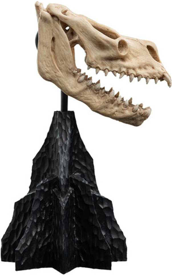 WETA Workshop The Lord of the Rings Trilogy Skull of a Fell Beast Polystone Statue