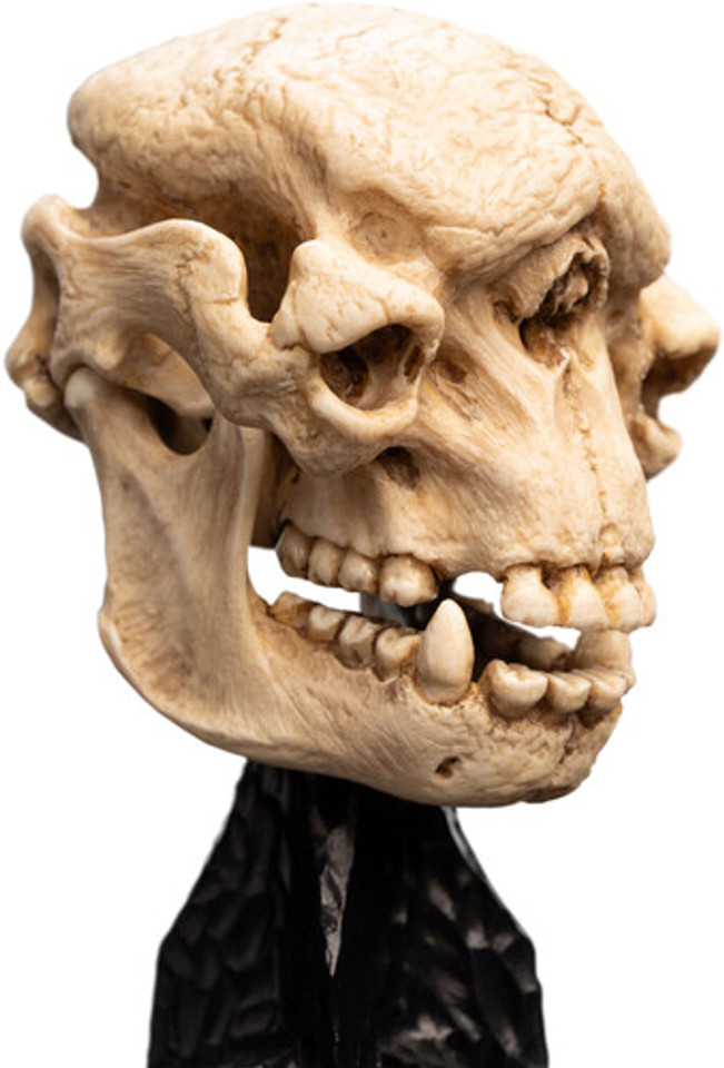 WETA Workshop The Lord of the Rings Trilogy Skull of a Cave Troll Polystone Statue WETA Workshop The Lord of the Rings Trilogy Skull of a Cave Troll Polystone Statue