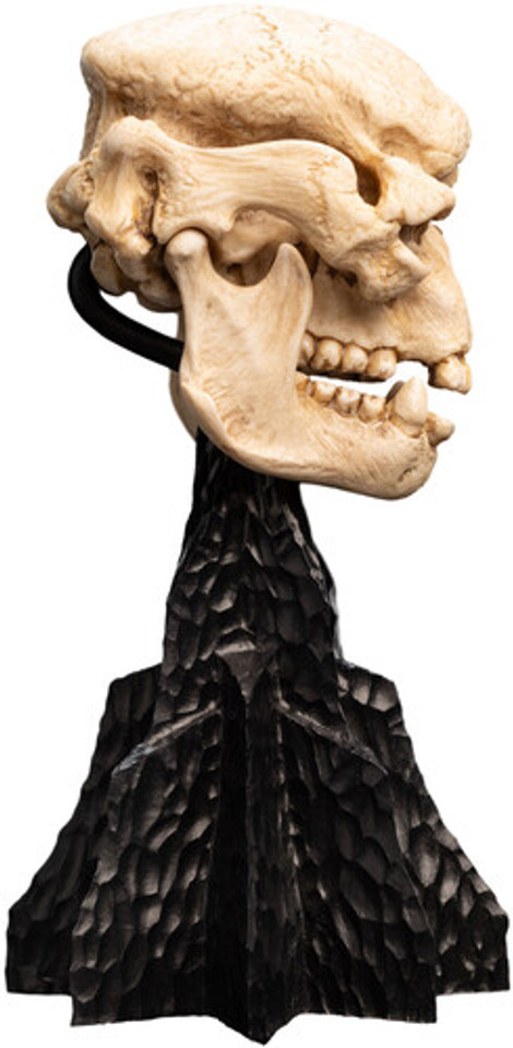 WETA Workshop The Lord of the Rings Trilogy Skull of a Cave Troll Polystone Statue WETA Workshop The Lord of the Rings Trilogy Skull of a Cave Troll Polystone Statue