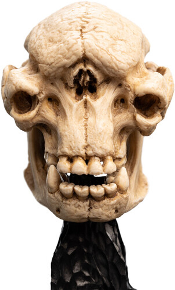 WETA Workshop The Lord of the Rings Trilogy Skull of a Cave Troll Polystone Statue WETA Workshop The Lord of the Rings Trilogy Skull of a Cave Troll Polystone Statue