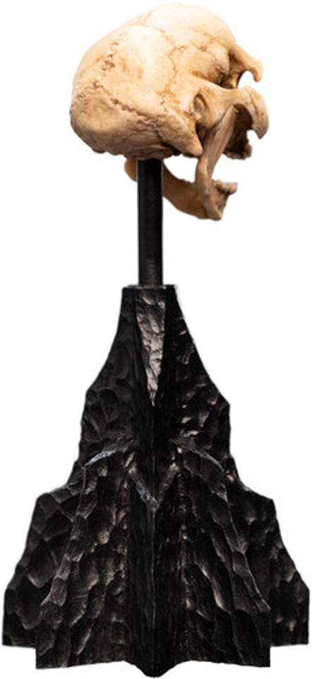 WETA Workshop The Lord of the Rings Trilogy Skull of a Moria Orc Polystone Statue WETA Workshop The Lord of the Rings Trilogy Skull of a Moria Orc Polystone Statue