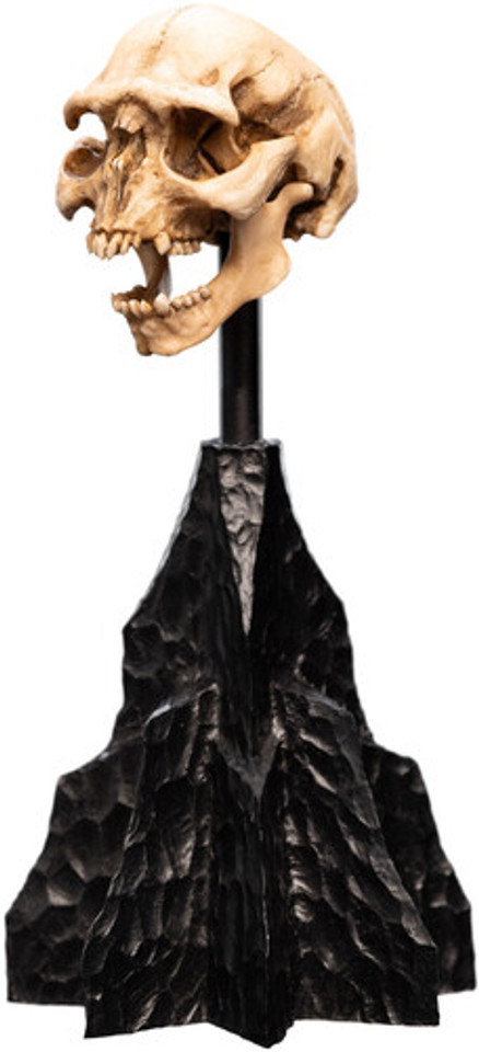 WETA Workshop The Lord of the Rings Trilogy Skull of a Moria Orc Polystone Statue WETA Workshop The Lord of the Rings Trilogy Skull of a Moria Orc Polystone Statue