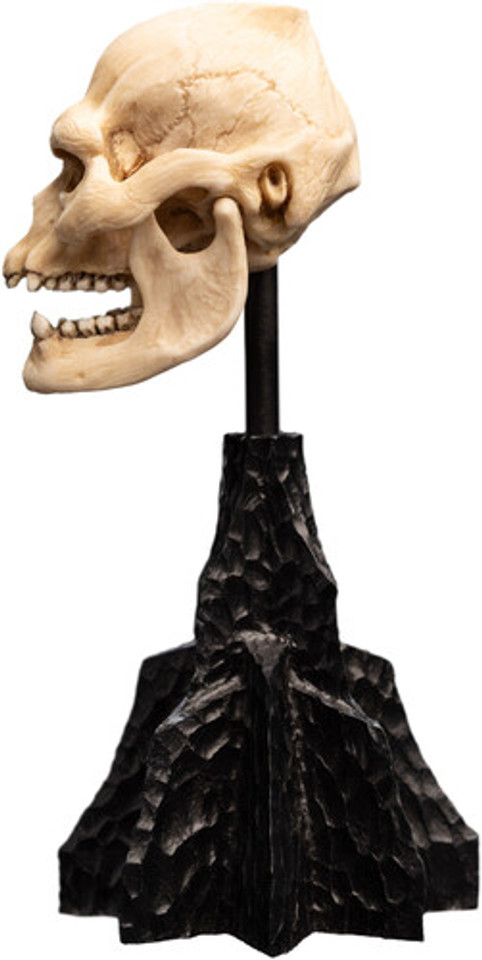 WETA Workshop The Lord of the Rings Trilogy Skull of Lurtz Polystone Statue