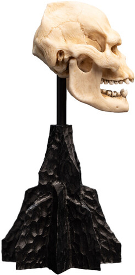 WETA Workshop The Lord of the Rings Trilogy Skull of Lurtz Polystone Statue