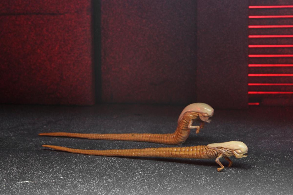 NECA Alien: Romulus Accessory Set NECA Alien: Romulus Accessory Set