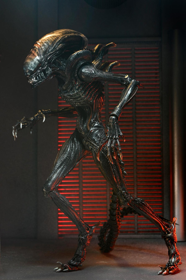 NECA Alien: Romulus Ultimate Scorched Xenomorph 7-Inch Scale Action Figure