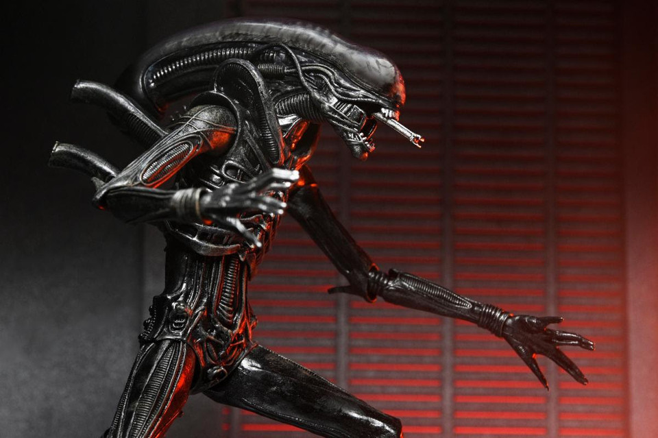 NECA Alien: Romulus Ultimate Xenomorph XX121 7-Inch Scale Action Figure NECA Alien: Romulus Ultimate Xenomorph XX121 7-Inch Scale Action Figure