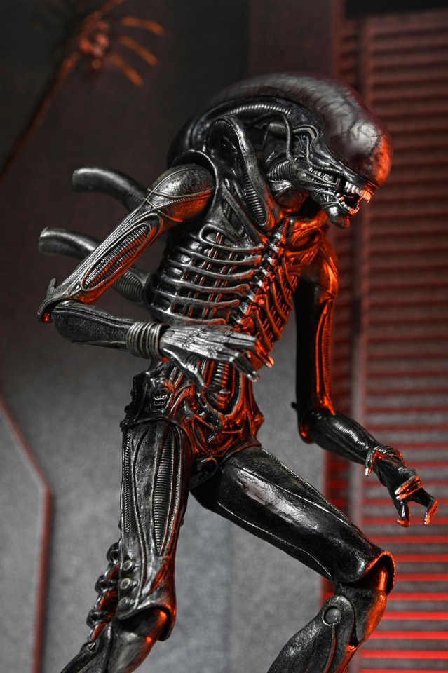 NECA Alien: Romulus Ultimate Xenomorph XX121 7-Inch Scale Action Figure NECA Alien: Romulus Ultimate Xenomorph XX121 7-Inch Scale Action Figure
