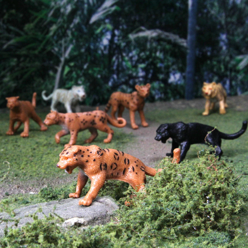 Big Cats TOOB® – Mini Wild Cat Figure Set