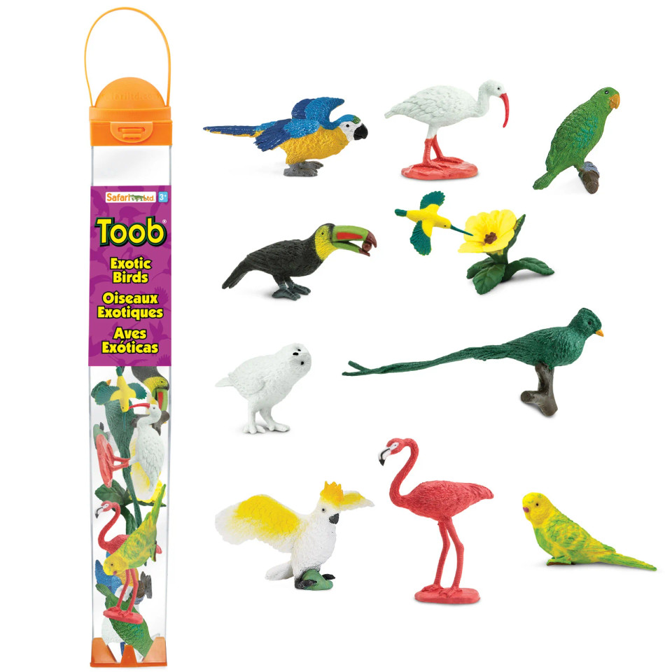 Exotic Birds TOOBÂ® â€“ Mini Tropical Bird Figure Set