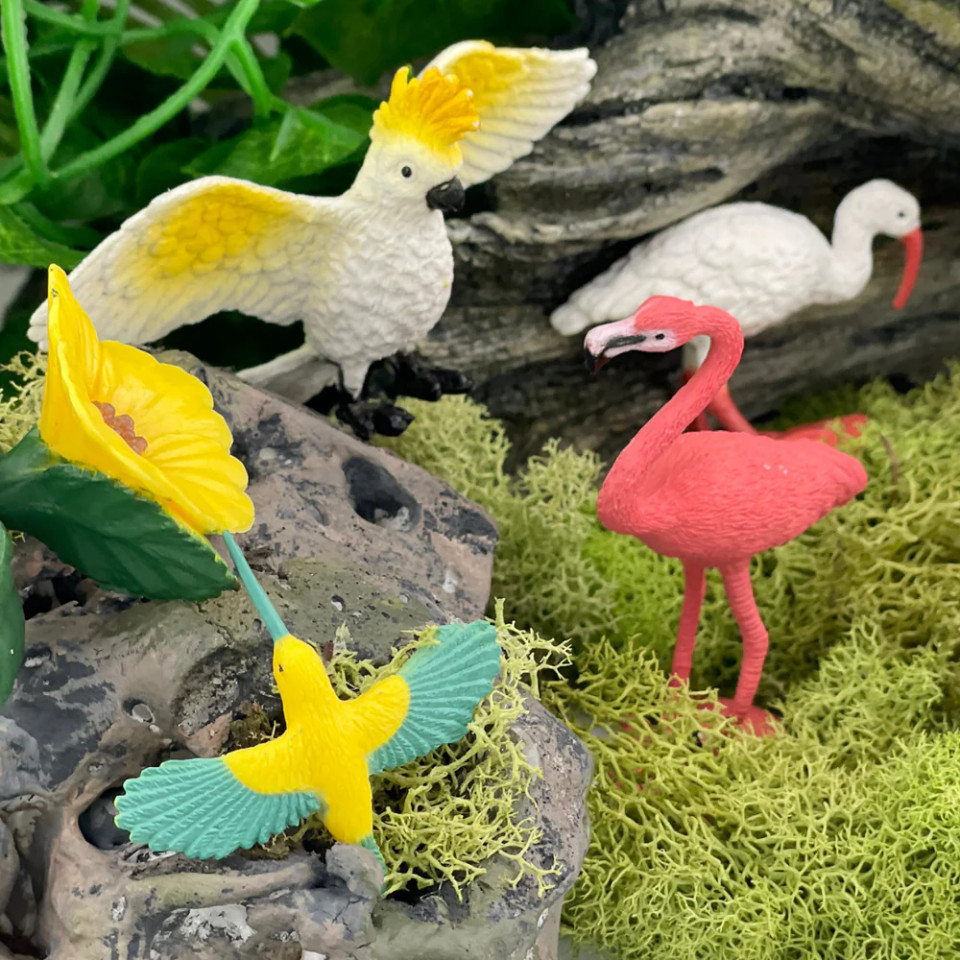 Exotic Birds TOOBÂ® â€“ Mini Tropical Bird Figure Set