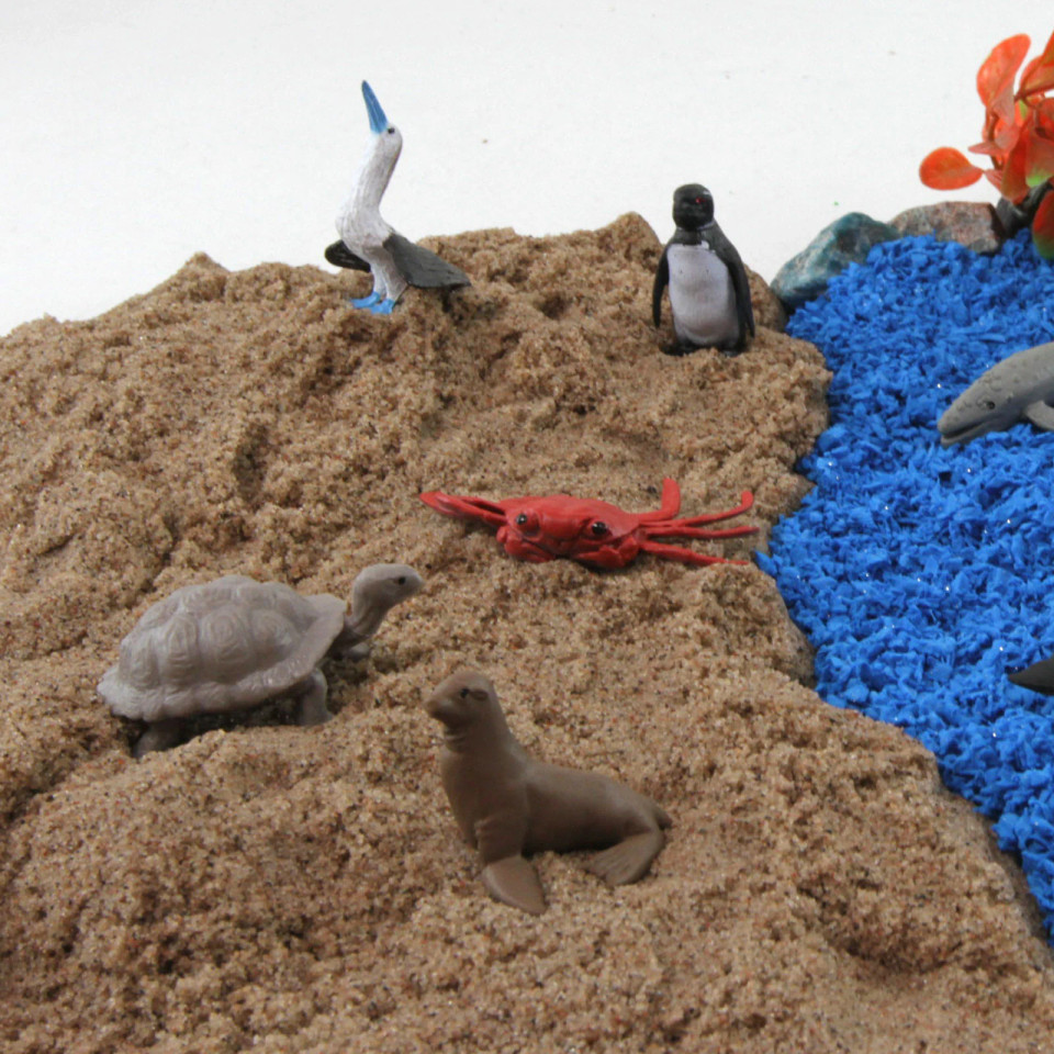 Pacific TOOB® – Mini Ocean Animal Figure Set