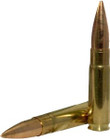 ZAA51244_1