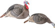 Hs Strut Turkey Decoy Combo - Hen/jake Strut-lite