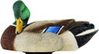 Avian X Power Shaker Mallard - Drake Preener Decoy