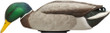 Avian X Power Shaker Mallard - Drake Surface Feeder Decoy