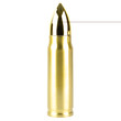 Cbg Bullet Thermo Bottle Gold