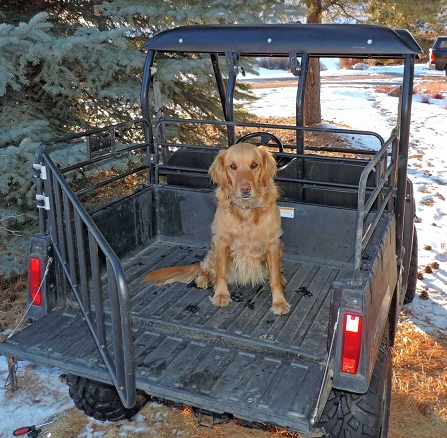 utv dog box