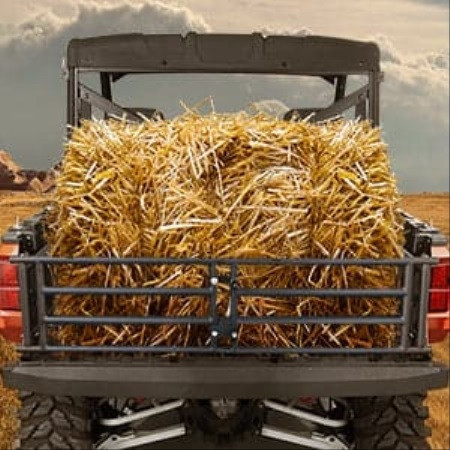 Enhance Your Ranger 1000 with Kemimoto UTV Tailgate Extender!