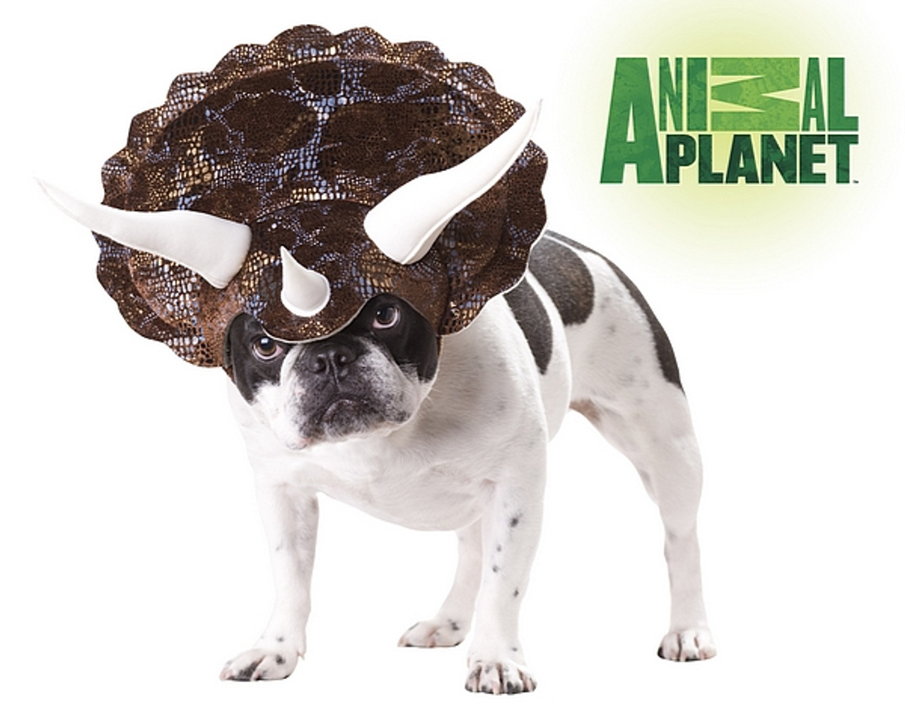 Dinosaur clearance puppy costume