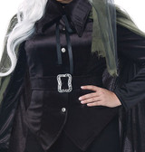 Gothic Witch Woman Plus Costume