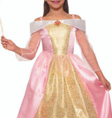 Princess Paisley Rose Girls Costume