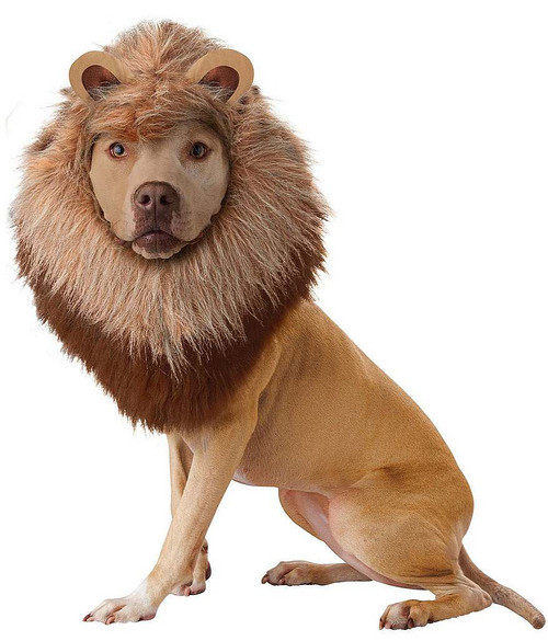Lion Dog Costume Lion Dog Costume