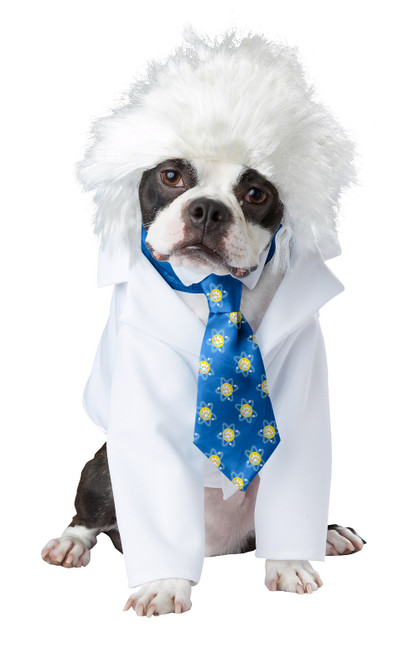 Al-Bark Einstein Dog Costume