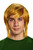 Zelda Link Adult Wig