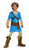Link Breath Of The Wild Teen Costume