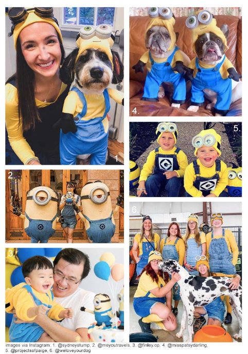 Minion Blog