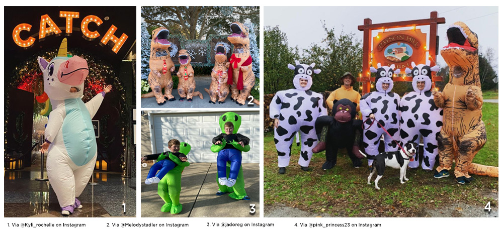 Inflatable Costumes Blog