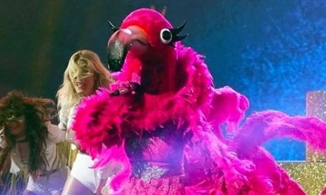 7 Craziest Costumes from The Masked Singer - Oya Costumes