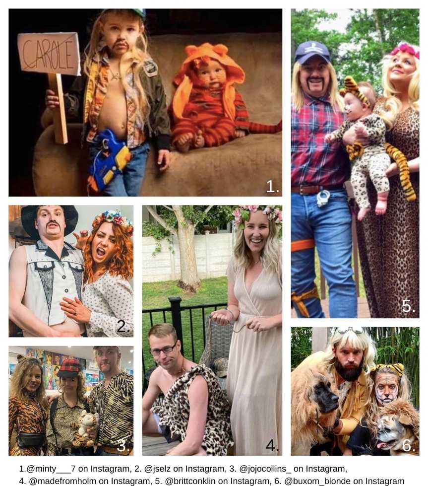 Tiger King Costume Ideas