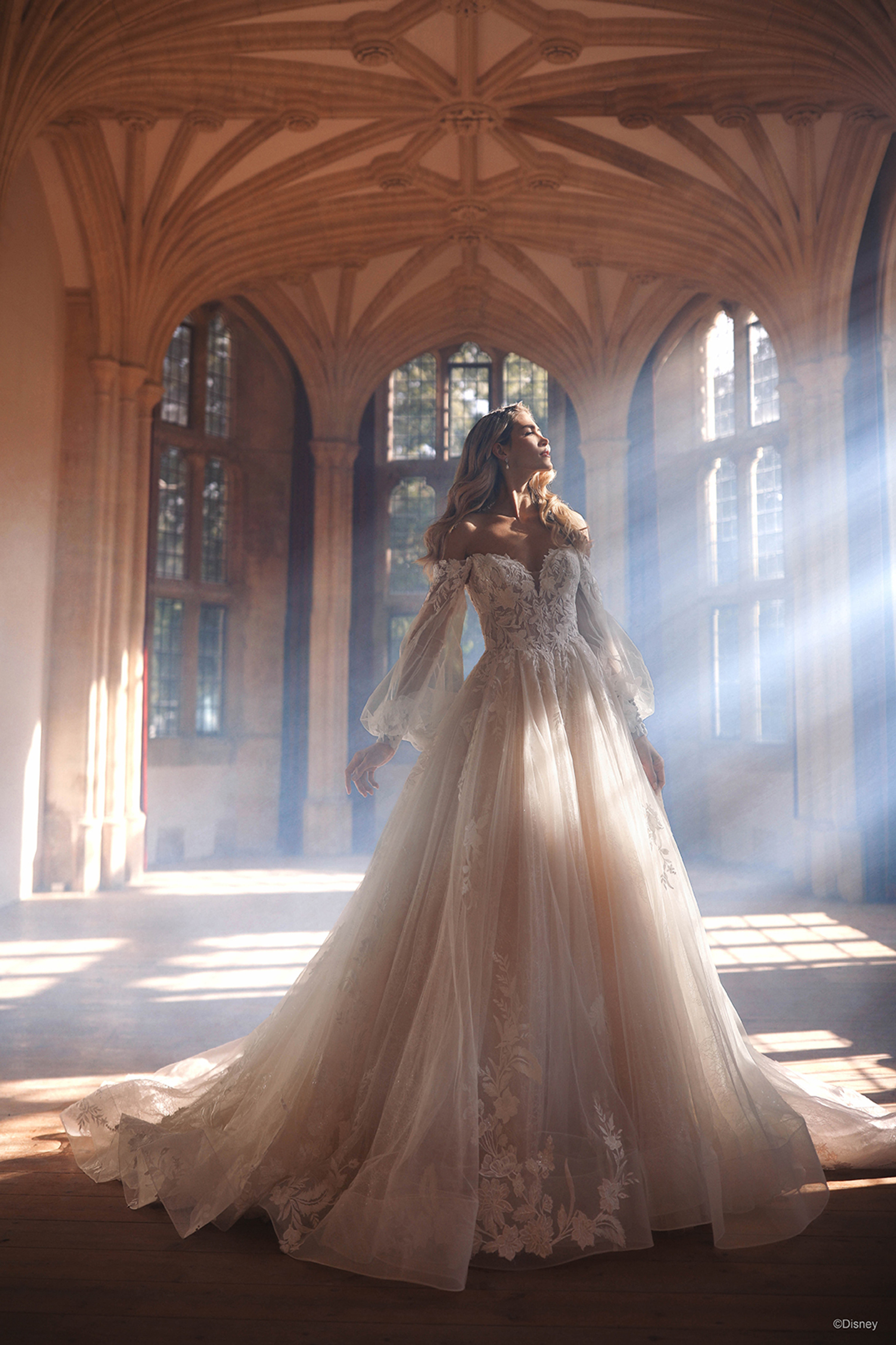 DP351 – Aurora | Disney Aurora Wedding Dress