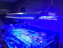 ReefBreeders LumenBar supplemental aquarium LED bar mounts to ATI T5 fixtures