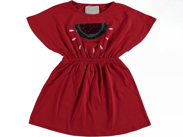 Sequined Watermelon Printed Dress