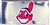 HangTime MLB Cleveland Indians COLLECTOR 6x12 Super Stock License Plate