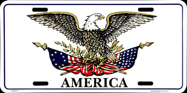 HangTime American Eagle Holding Flag 6x12 License Plate