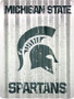 Hangtime Michigan State Spartans 12x16 inch Corrugated Sign