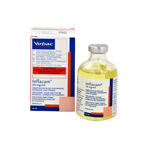 Inflacam 20 mg/ml Meloxicam Injektionslösung für Rind, Schwein, Pferd (50 ml)