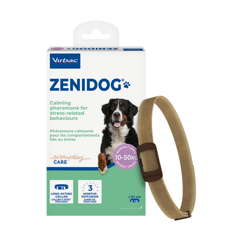 Zenidog Halsband M/L - mit beruhigenden Pheromonen für Hunde