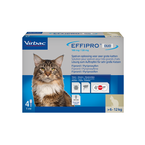 Effipro Duo 100 mg/120 mg Fipronil/Pyriproxifen für Katzen über 6kg (4 Pipetten)