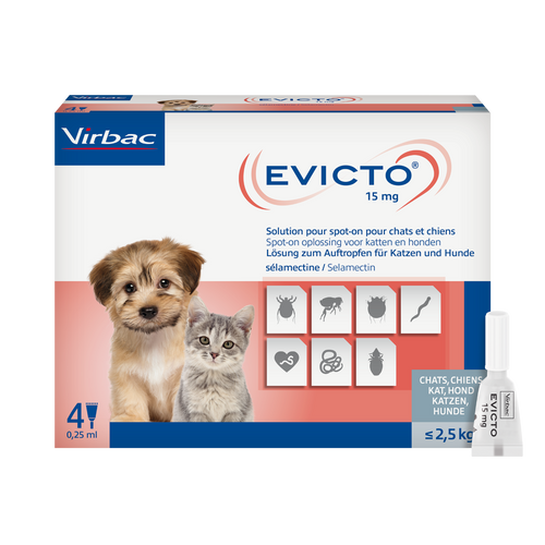 Evicto 15 mg Selamectin Lösung zum Auftropfen für Katzen und Hunde bis 2,5 kg (4
