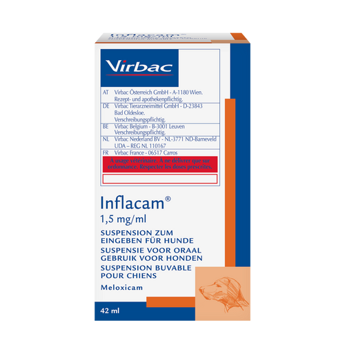 Inflacam 1,5 mg/ml Meloxicam Suspension für Hunde (42 ml)