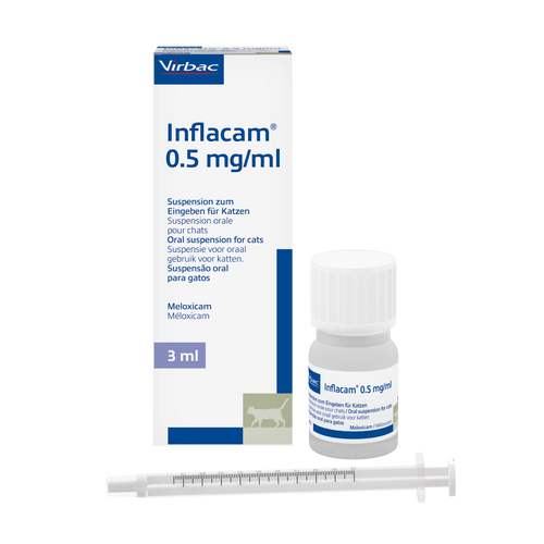Inflacam 0,5 mg/ml Meloxicam zum Eingeben für Katzen (3 ml)