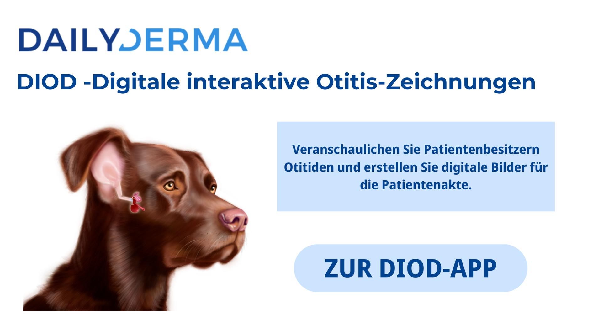 DIOD App - DailyDerma